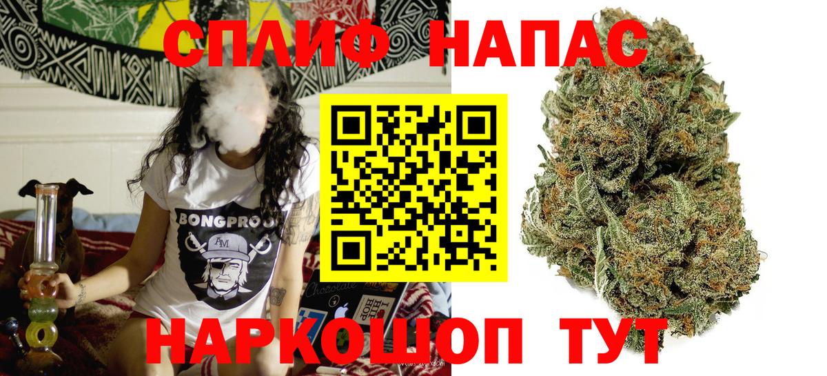 Бошки Шишки ГИДРОПОН Балабаново